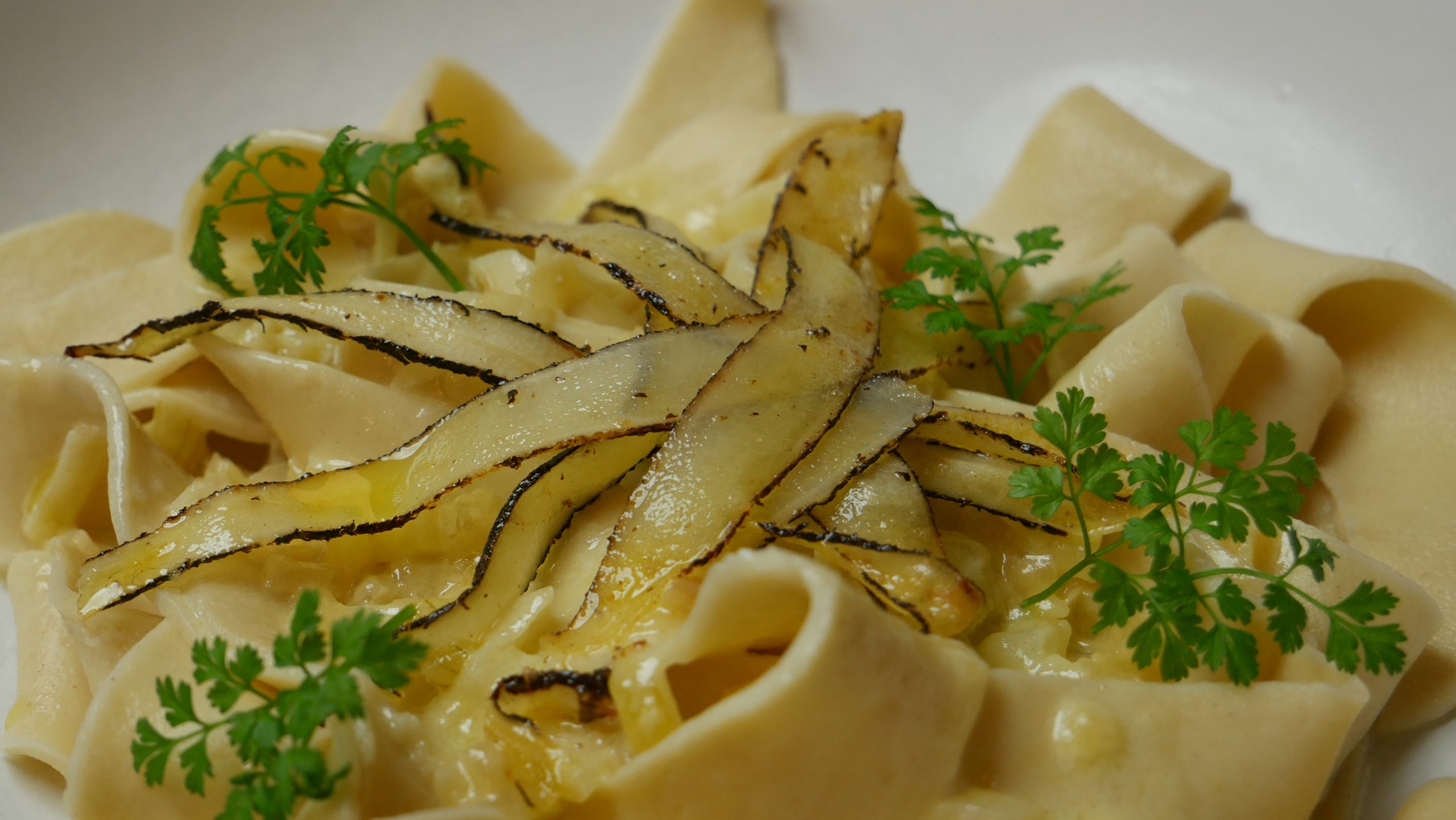 Schwarzwurzeln auf Pappardelle in Käsesauce - Feinschmeckergarten