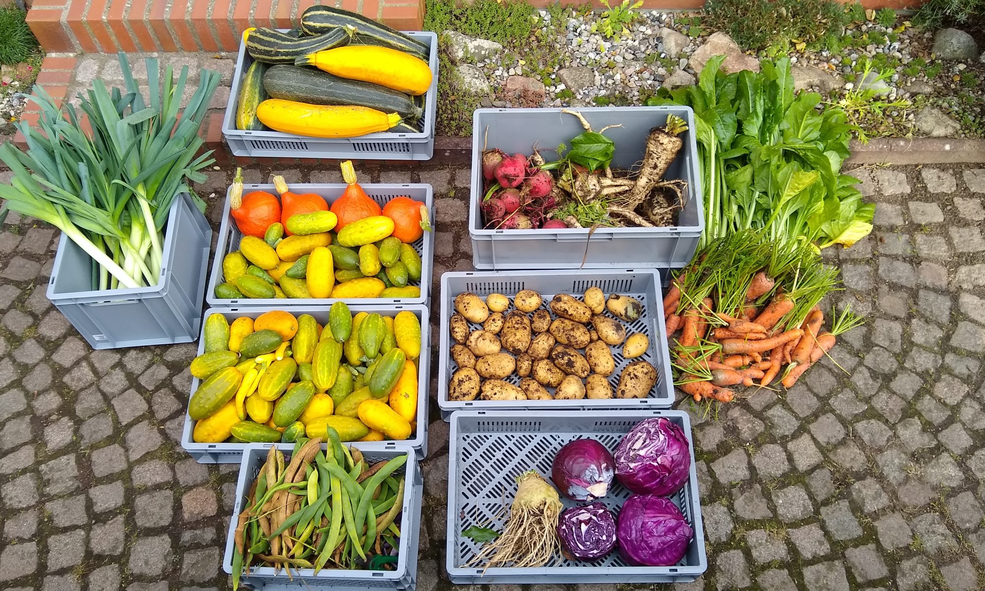 Ernte September 2023