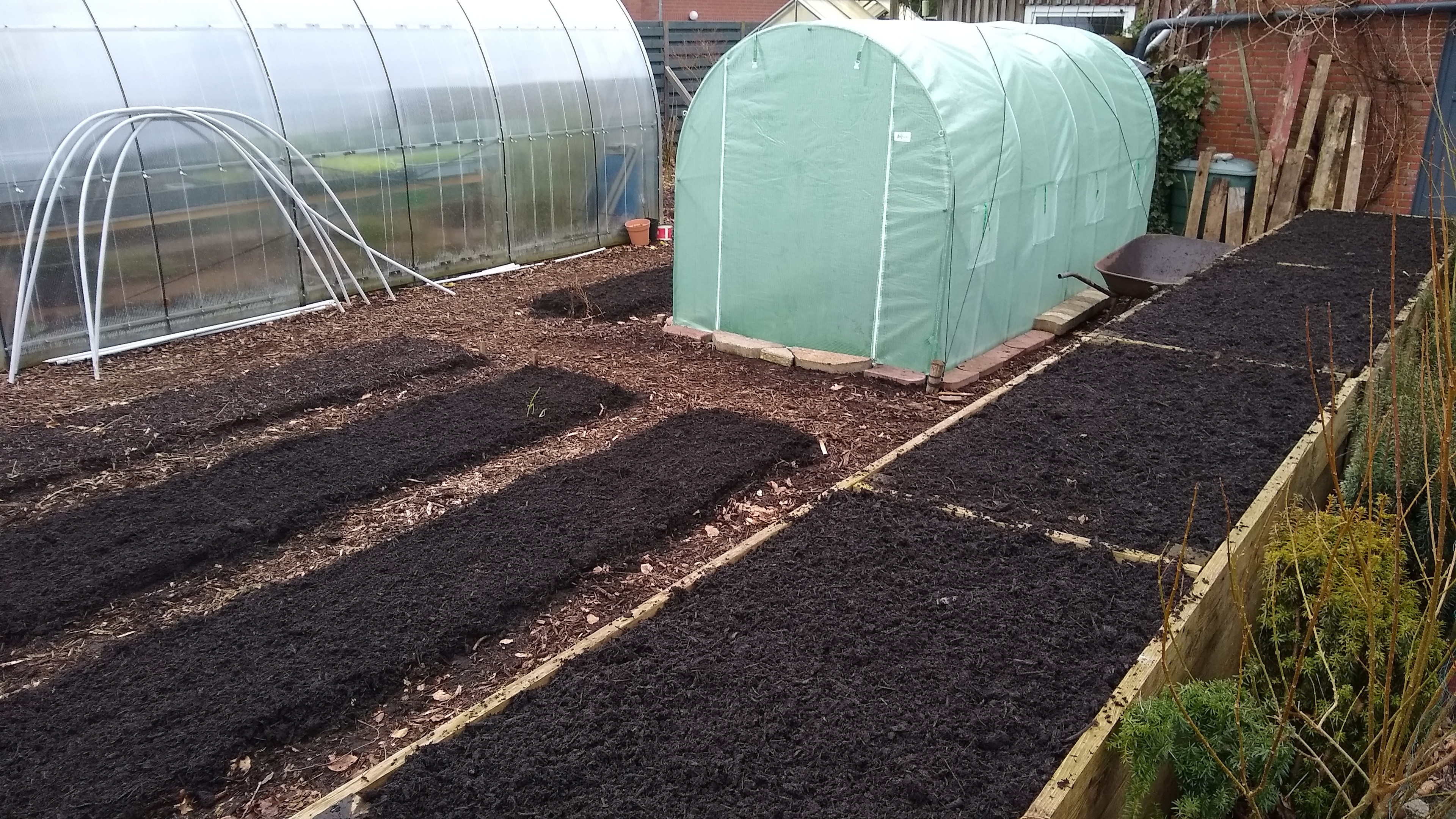 vegpatch with beds covered with compost,
4x2x2m polytunnel 