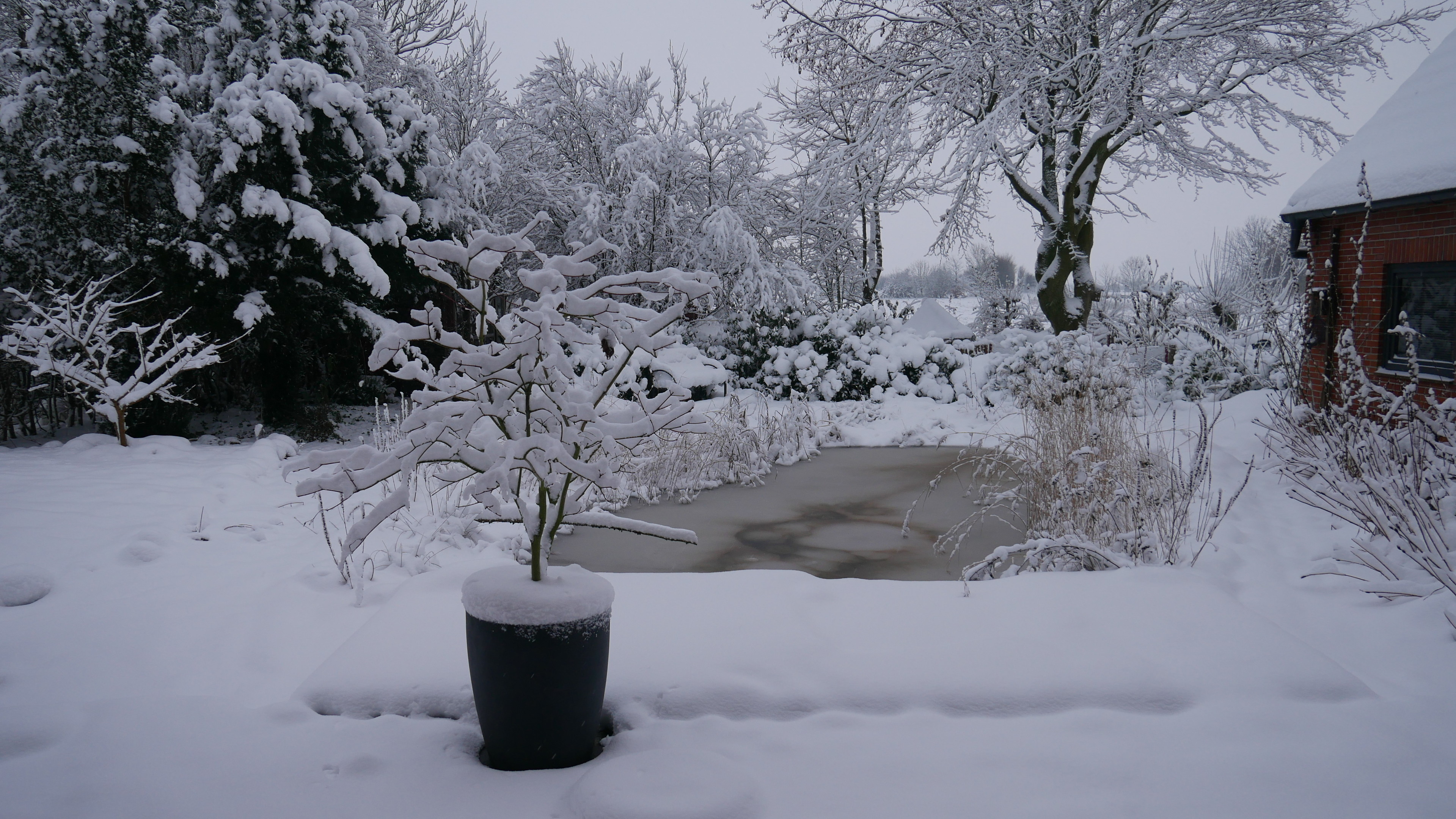 a frozen pond with surrounding garden covered in snow