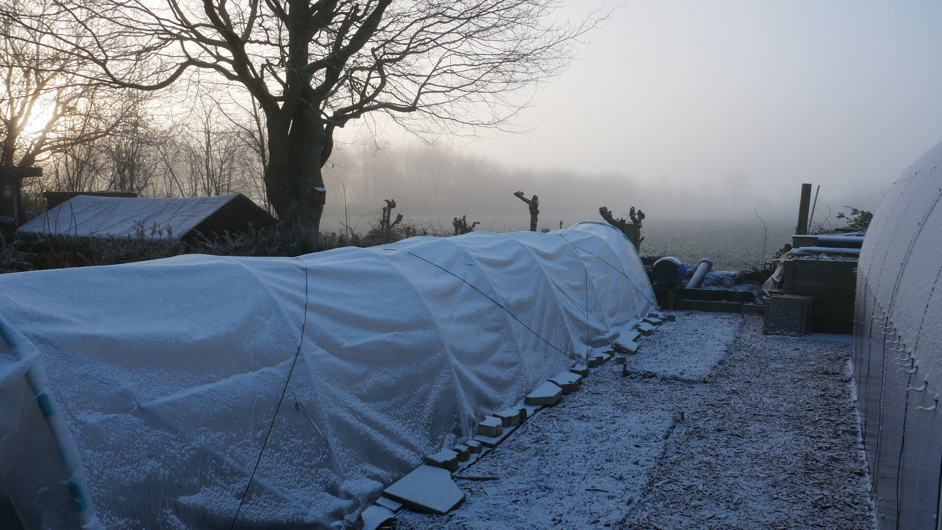garden beds and mini polytunnel covered in snow