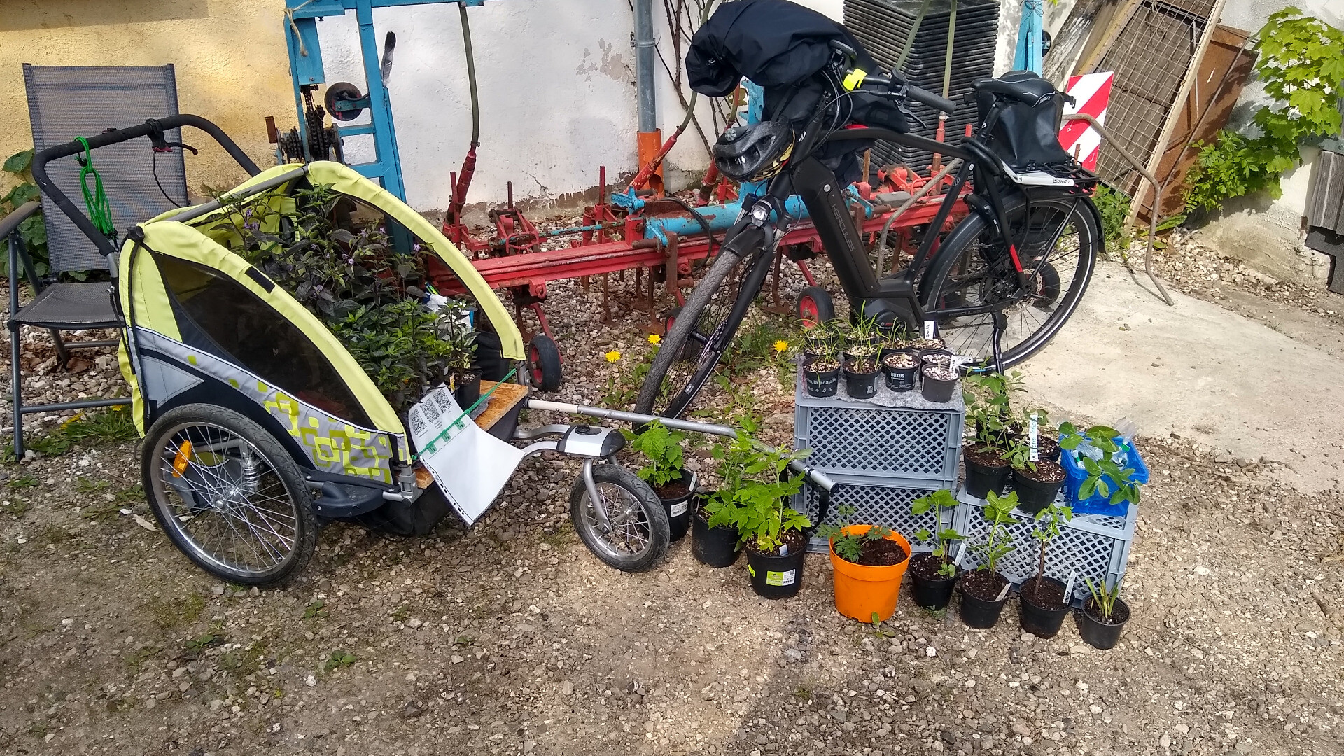 a market stall consisting of a bicycle trailer and some boxes with plants on sale