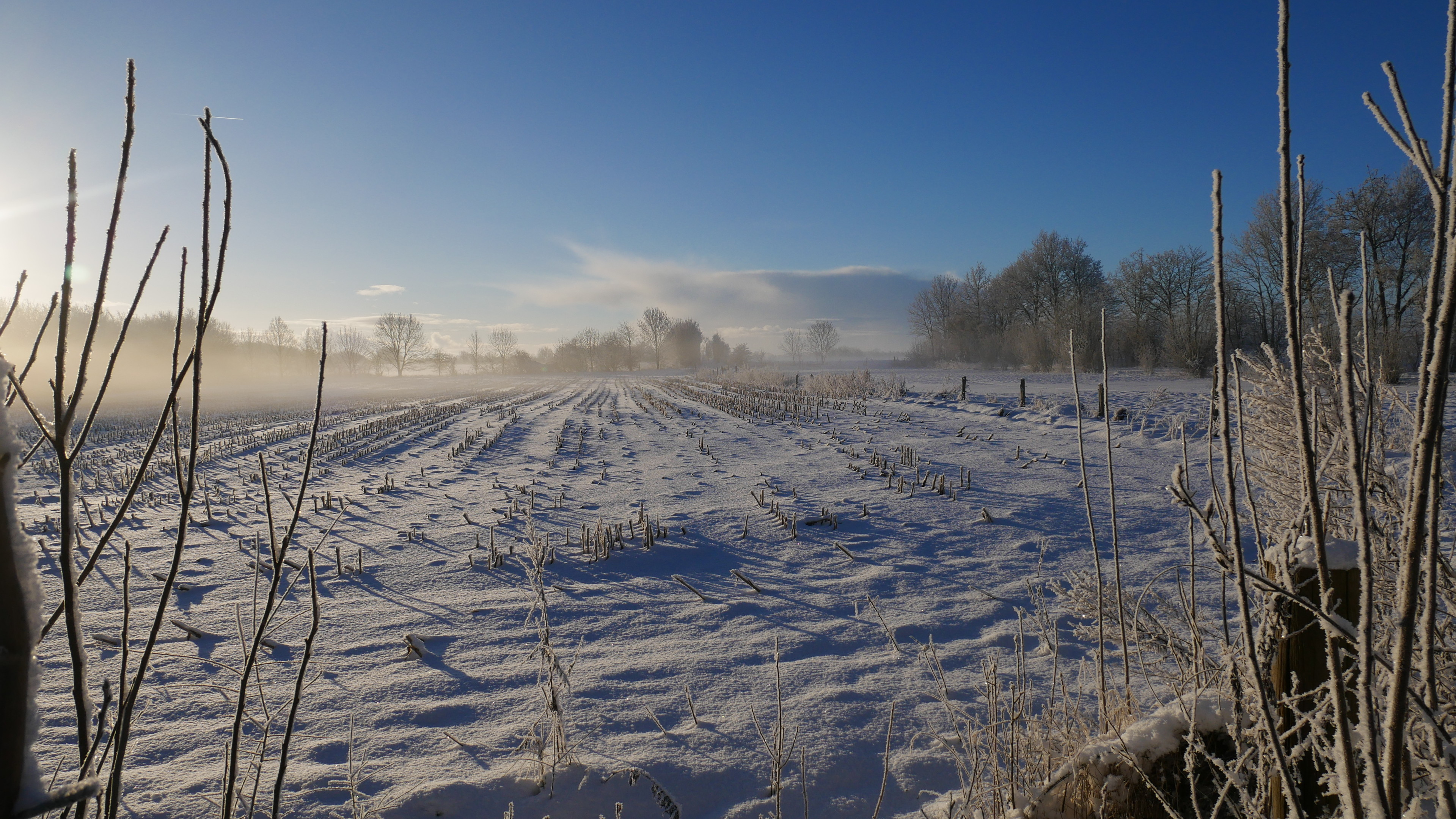 radiant blue sky with a a field covered in snow in foreground